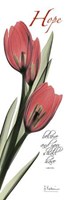 Tulips in Red Hope 