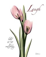 Tulip in Pink Laugh 
