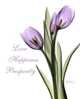 Purple Tulips Love Happiness 