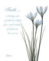 White Rain Lily Faith 