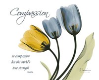 Tulip Compassion