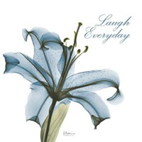Laugh Everday Lily A36 