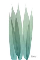 Radiant Bamboo Leaf 1 