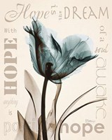 Hope Tulip