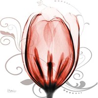 Happy Tulip in Red 