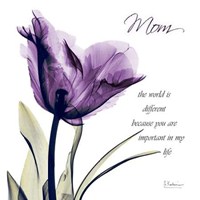 Mom Purple Tulip 