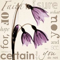 Faith Violet Tulips 