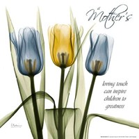 Tulips Kindness