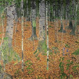 The Birch Wood 