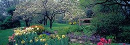 Country garden, Old Westbury Gardens, Long Island 