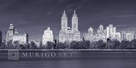 Central park and Manhattan skyline - New York city